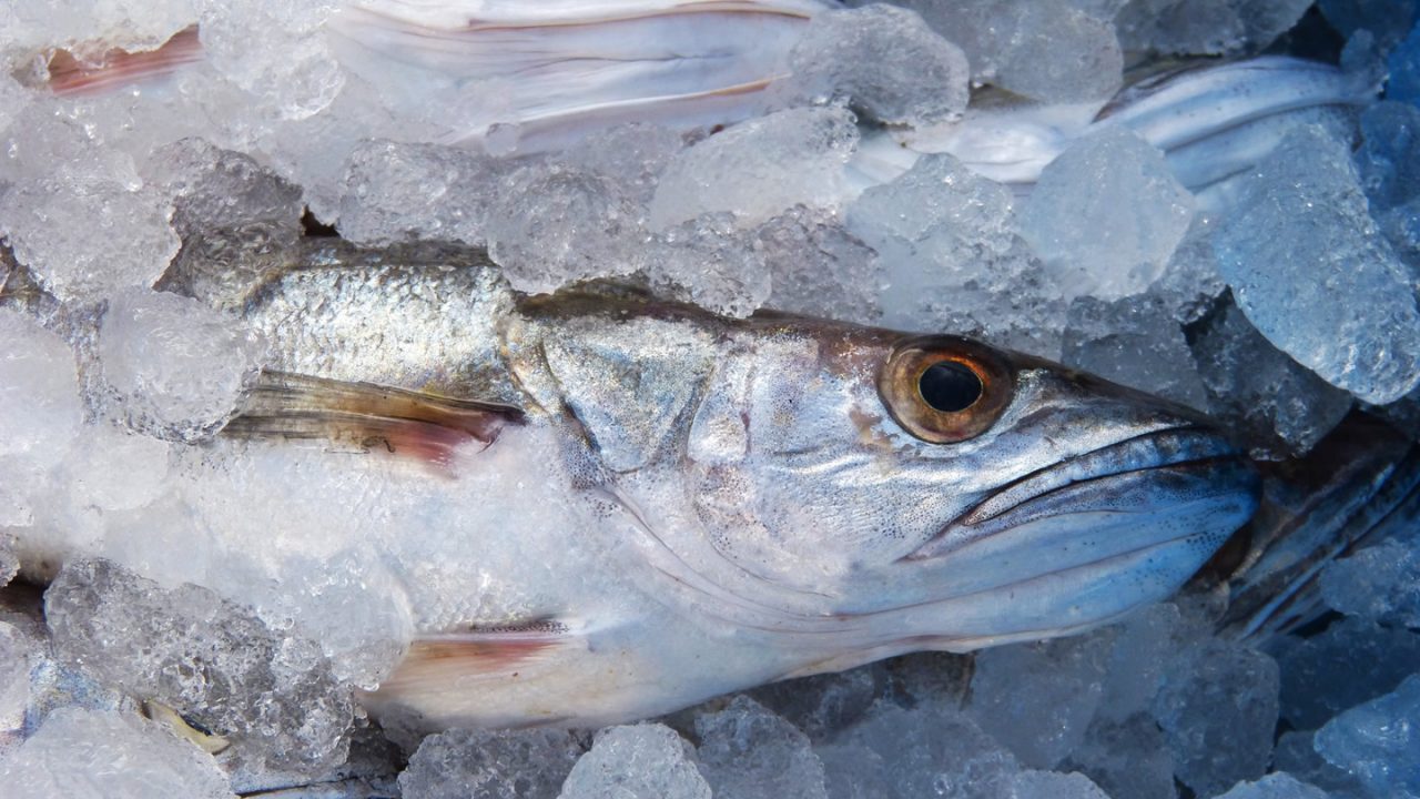 Come riconoscere il pesce fresco