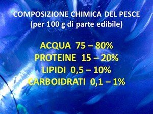 composizione-chimica-del-pesce