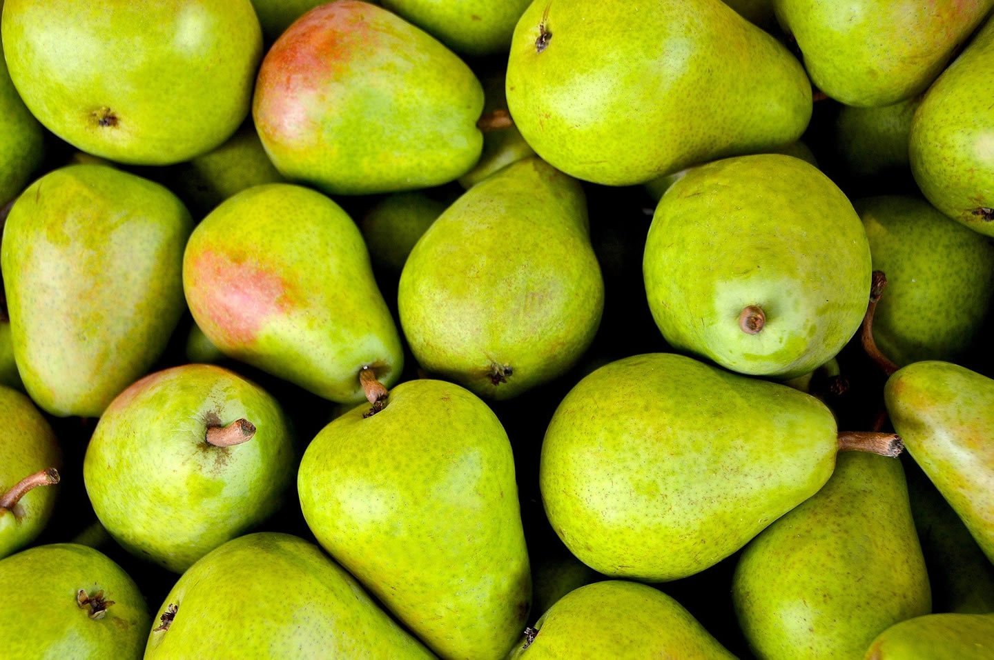 Pera. Ipocalorica, diuretica ed ipoallergenica
