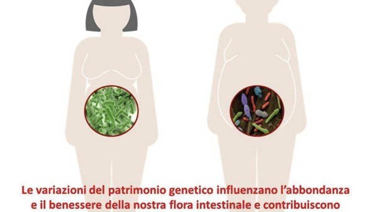 Peso corporeo e flora intestinale: scoperti nuovi intrecci ed influenze