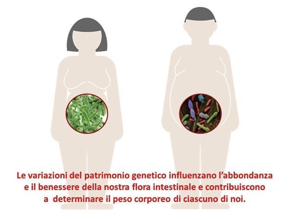 Peso corporeo e flora intestinale: scoperti nuovi intrecci ed influenze