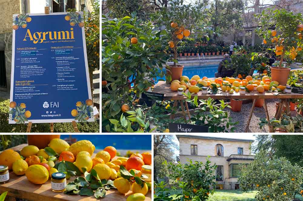 AgruMi 2022: è tornata a Villa Necchi la kermesse degli agrumi