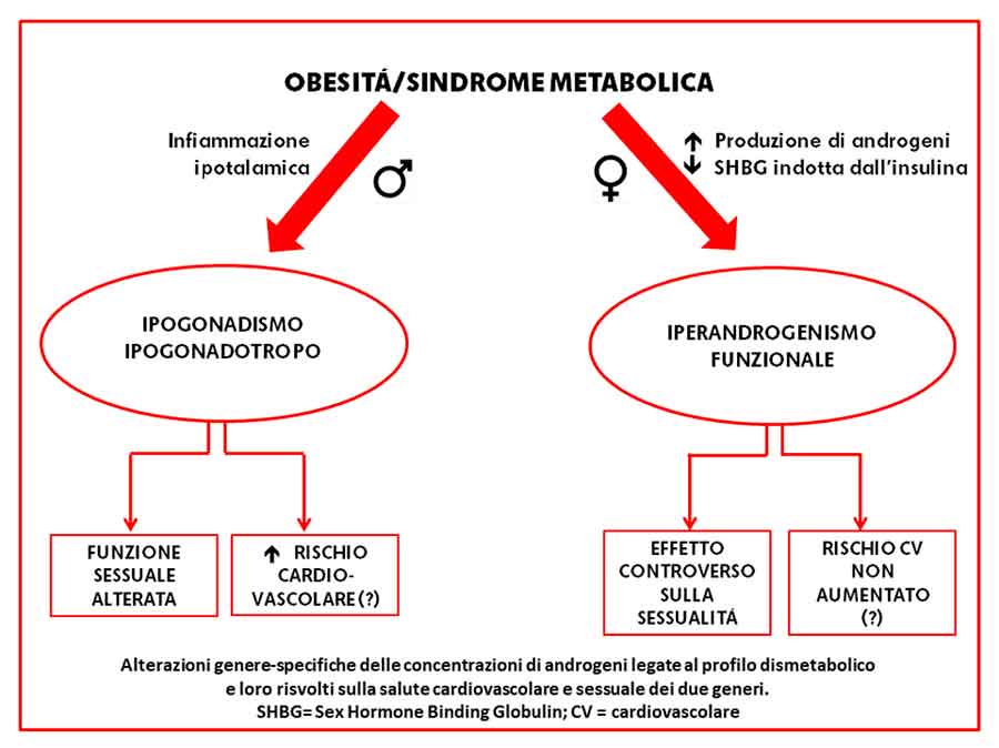 Obesità e sindrome metabolica